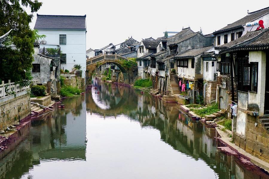 救援小蝙蝠